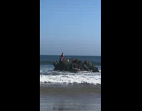 Man shirtless sit big rock beach ocean
