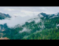 Birds eat popcorn off guys hand mountain