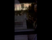 Collab WINY - Raccoons beside AC unit on fire escape