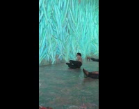 Girl white long sleeves van gogh exhibit part 2