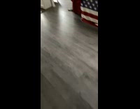 Kitten waits and jumps at girl walking 