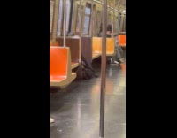 Person lays down on subway train floor 