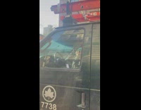 Driver plays trumpet in truck