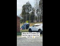 Man check mailbox near car accident on street