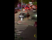 Motorbike riders and cowboy on the road 