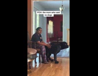 Collab ClipsIG - Mom says no dogs now have one 