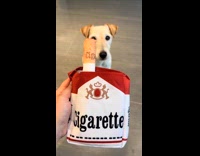 Dogs get cigarette toy from owner videos