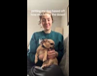 Woman pets dog based on dessert 