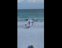 Girl wedding arch beach sand rose petals
