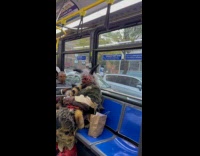 Man rides bus wears devil Halloween costume