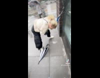 Collab Clips MPUGC - Strong wind flew womans scarf away 