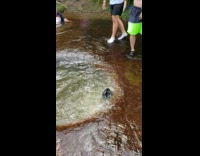 Guy jumps into hot spring fail no music