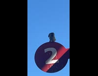 Guys watching two birds on 2 sign 