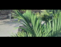 Guy sits on van sunroof while moving