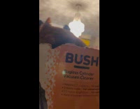 Cats fighting over a box 