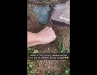 Collab Clips mpugc - Dog digging holes bags of food