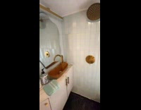 Collab PubityPets - Lady Show Cozy Bathroom in Bus Home