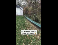 Collab BitchMP - Grandpa loves his cats