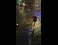 Cars float in street blue car hits stop sign