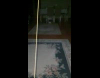 Cat run towards bait pounce on camera