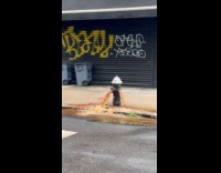 Fire hydrant lets out dirty brown water 