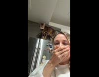 Woman filming startled by cat behind her