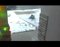 Kid with a backpack run and slipped on the walkway