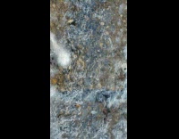 Water and bubbles flow under ice gutter