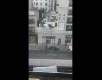 Person on balcony drops trash bags down 