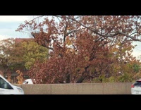 Guy plays loud Ghostbusters soundtrack while driving