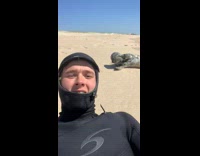 Seal Lays Down on Sand Sleepily 