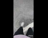 Girl gets out of car into flooded parking lot 