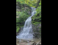 Waterfalls in a forest