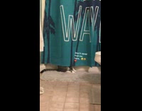 Cat hides behind shower curtain