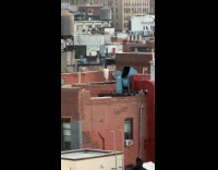 Collab WINY - Old woman exercises on the rooftop building