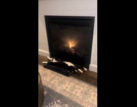 Cat laying in front of fire stretched