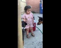 Dogs lick thing little girl holds