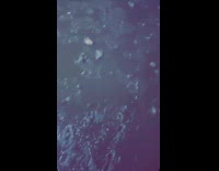 Guy walk on wet road carry dog