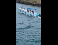 Woman in bikini bend over in front of the boat