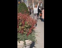 Tourist poses for photo