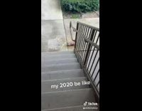 Little frenchie dog rolls down stairs 