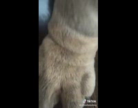 Girl twerks on guy wearing leprechaun costume