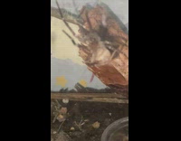 Guy explain about southern house spider web