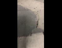 Collab winy - Front of car burn on street night