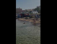Women in bikini take turns beach photo