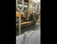 Guy on subway with grey dog pt. 2