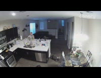 Collab Clips mpugc - Cat jumps onto sink knocks over cups camera