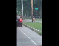 Dog jumps out of car chases deer