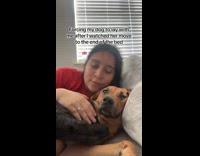 Collab DogIG - Dog forced to sleep beside its owner