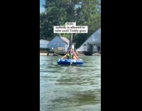 Collab dogIG_default - Dog likes to go tubing ride and balance